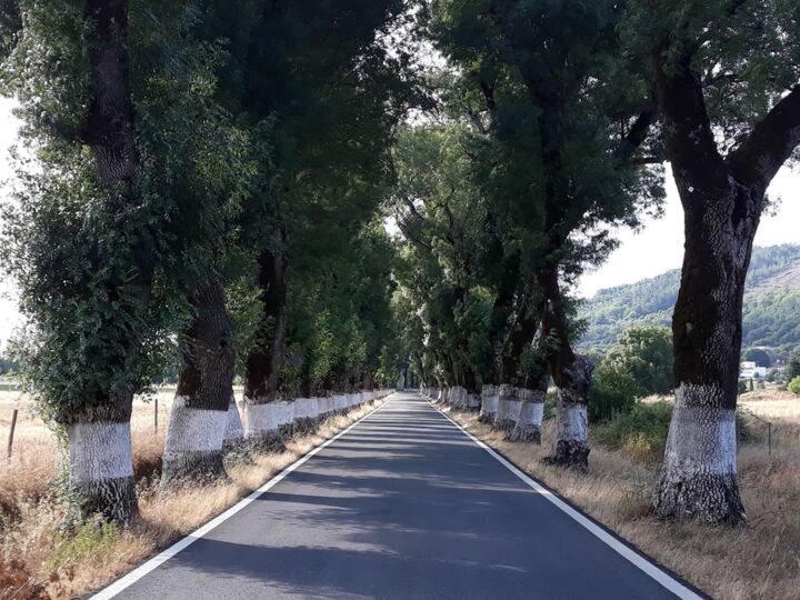 O Casulo Villa Marvao  Bagian luar foto